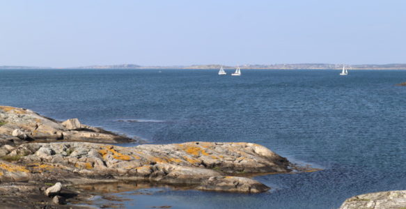 Unsere ersten zwei Wochenenden in Schweden